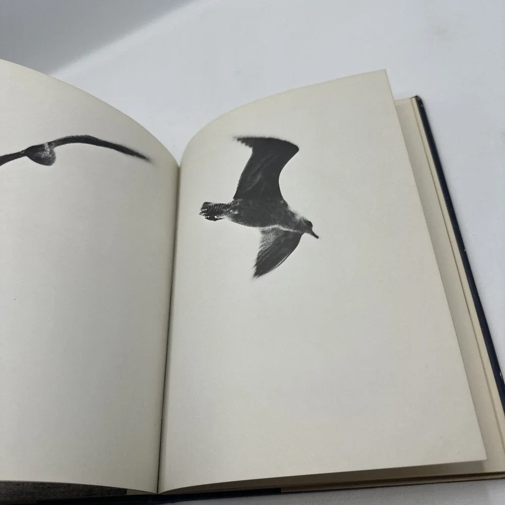 Jonathan Livingston Seagull by‎ Richard Bach (1970, Hardcover)